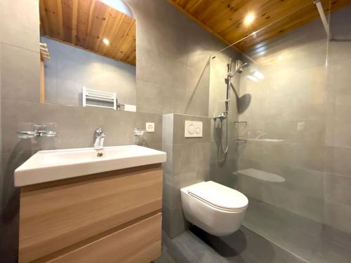 een badkamer met een wastafel, een toilet en een douche bij Magnifique Ski in/out, cosy and calm, 4 bedrooms in Verbier