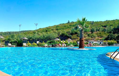 une grande piscine avec un palmier au milieu dans l'établissement Luxury and comfortable villa with a view, à Milas