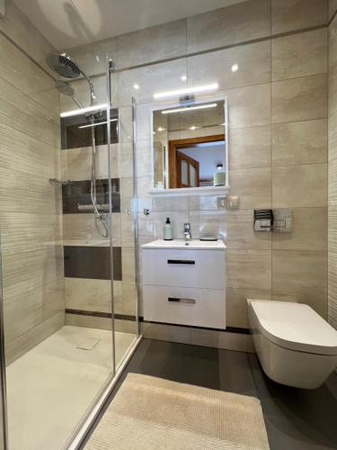 Apartament Vanessa 2 u podnóża gór, nad jeziorem Czorsztyńskim في Harklowa: حمام مع دش ومرحاض ومغسلة