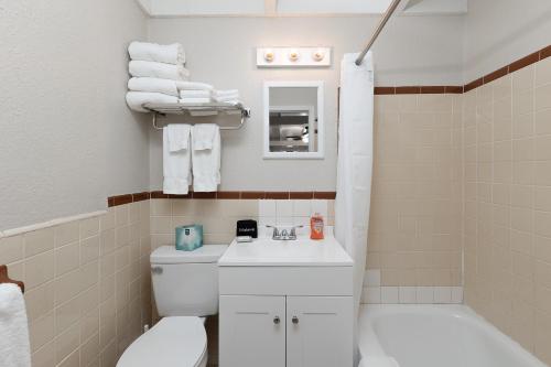a bathroom with a white toilet and a sink at Idlewild Lodge and RV Park in Lake Panasoffkee