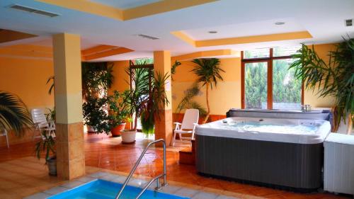 Πισίνα στο ή κοντά στο Balaton Wellness Apartman