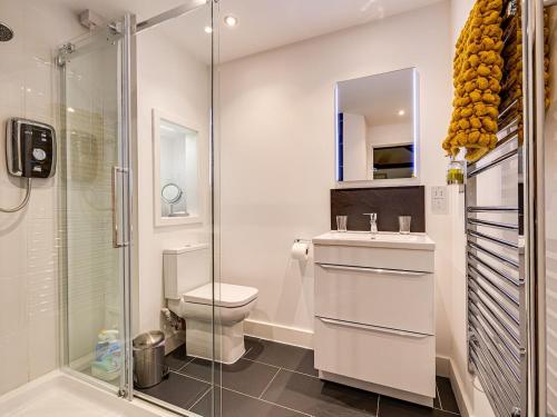 a bathroom with a toilet and a sink and a shower at The Parlour - Uk10958 in Burlton