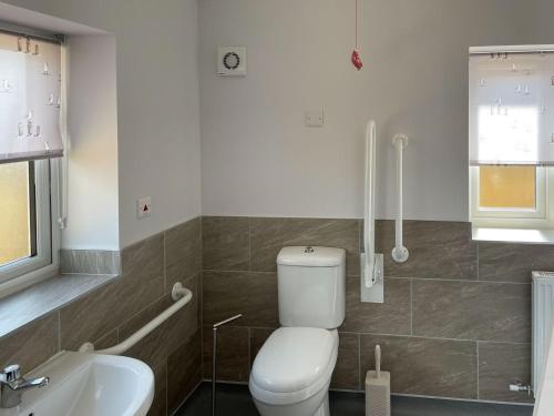 een badkamer met een toilet en een wastafel bij The Old Kitchen -uk32062 in Burwarton