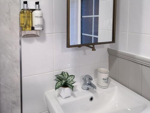 a bathroom sink with a mirror and a plant on it at Church View Cottage in Goudhurst