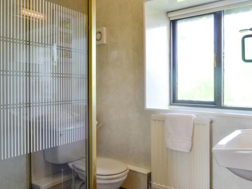 La salle de bains est pourvue de toilettes, d'un lavabo et d'une fenêtre. dans l'établissement Woodland View-uk11826, à Llandefaelogfâch
