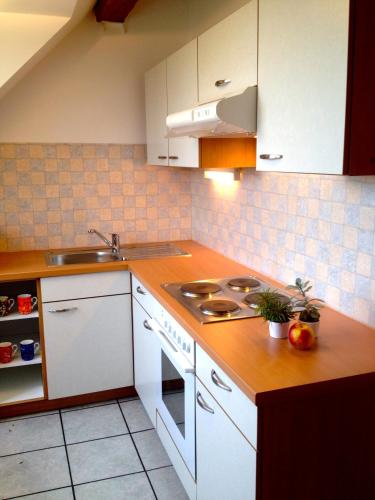 a kitchen with white cabinets and a stove top oven at Haus Ferdinand in Fernitz