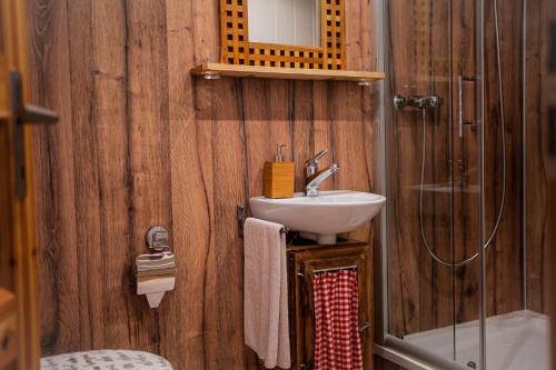 a bathroom with a sink and a shower at Bnbetschart in Muotathal