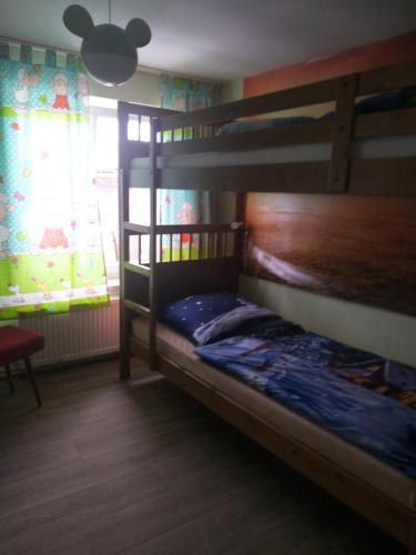 Двох'ярусне ліжко або двоярусні ліжка в номері Ferienhaus Harzer Bauernhof