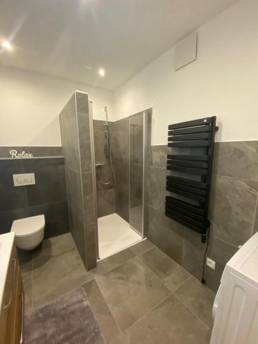 a bathroom with a shower and a toilet at Leonies Appartement in Sautens