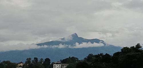 a mountain in the distance with trees in the foreground at The Tenthola in Kandy