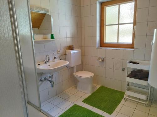 a bathroom with a toilet and a sink at Grundnerhof in Arriach