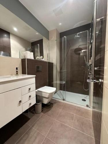 a bathroom with a shower and a toilet and a sink at Apartamento Sta Cruz 2 Dormitorios in A Coruña
