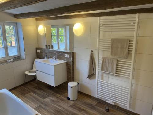 ein kleines Bad mit einem Waschbecken und einer Dusche in der Unterkunft Property in Quedlinburg in Quedlinburg