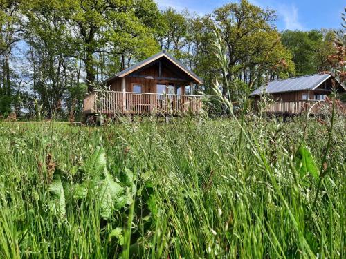 Zahrada ubytování Lodges in Drenthe with Scenic Meadow Views