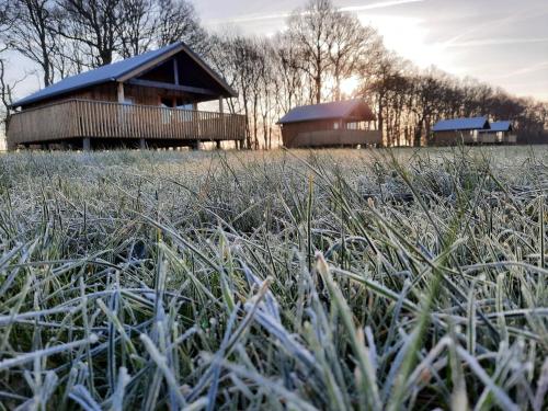 Fotografie z fotogalerie ubytování Lodge in Drenthe with Scenic Veranda v destinaci Ruinerwold