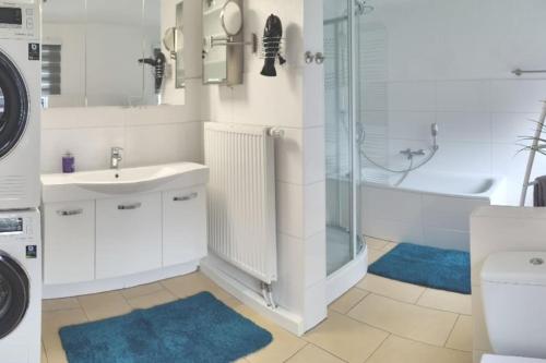 a bathroom with a sink and a shower and a toilet at Ferienhaus am Sauerbrunnen in Daun