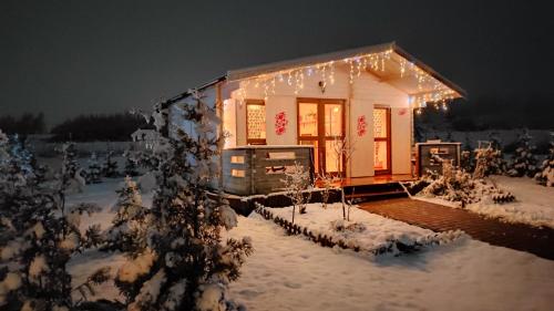 W Malinowym Chruśniaku