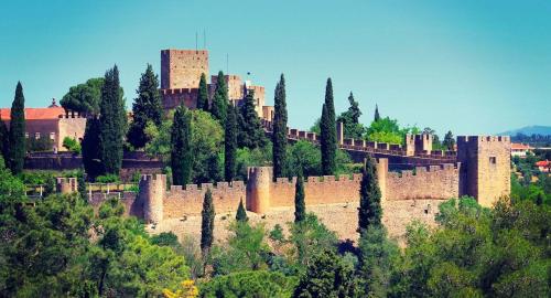 a castle on top of a hill with trees at Tomarhousing - Style in Tomar