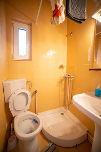 a bathroom with a toilet and a sink at Casa Cosmina Arieseni in Arieşeni