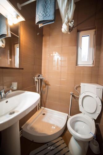 a bathroom with a toilet and a sink at Casa Cosmina Arieseni in Arieşeni