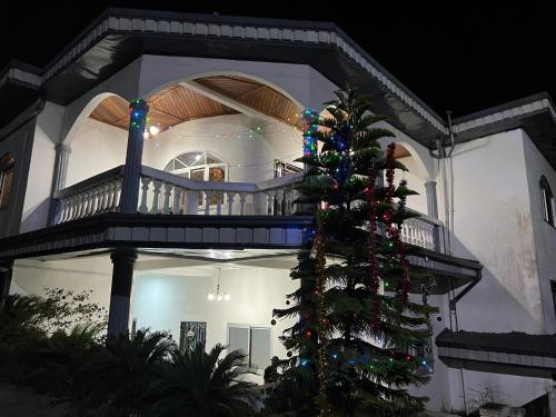 a christmas tree in front of a house at Apex guest facility in Buea