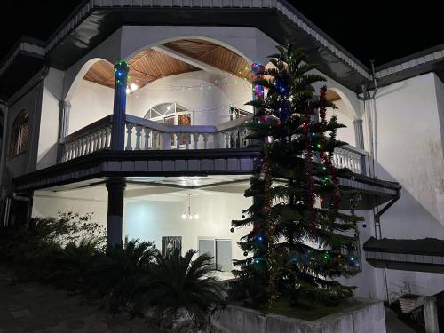 a christmas tree in front of a house at Apex guest facility in Buea