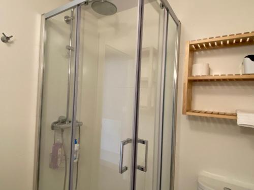 a shower with a glass door in a bathroom at Apartamento Casa Francho 3 in Panticosa
