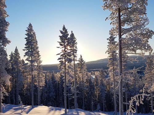 un grupo de pinos en la nieve en Guesthouse Pekkala, en Rovaniemi