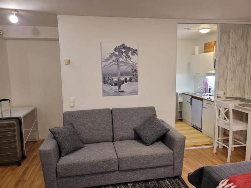 Posezení v ubytování Harjulake Apartment Rovaniemi