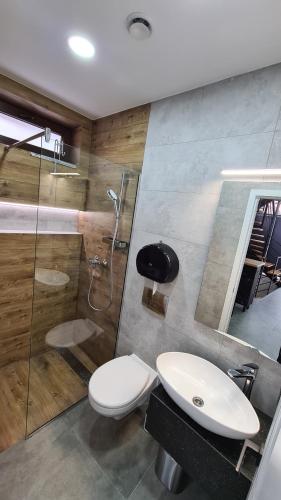 une salle de bain avec toilettes, lavabo et douche dans l'établissement Casa Chiper - Apartament Etaj 1, à Braşov