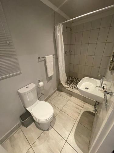 a bathroom with a toilet and a sink at Marion Lodge in Johannesburg
