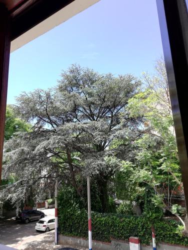 Φωτογραφία από το άλμπουμ του Private Room in Beautiful Home σε Μοντεβιδέο