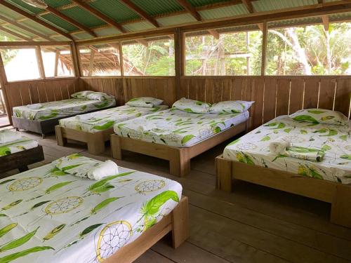 a room with four beds in a wooden room at Hospedaje SELVA DE AVES in Leticia