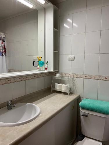 bagno con lavandino, specchio e servizi igienici di Central departamento en recinto privado Aire acondicionado Wifi Estacionamiento a Rancagua