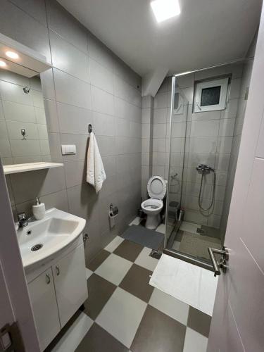 a bathroom with a shower and a sink and a toilet at Apartman Antonovic in Valjevo