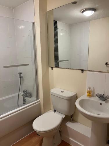 a bathroom with a toilet and a sink and a shower at Lovely 2 bedrooms apartment in Portsmouth