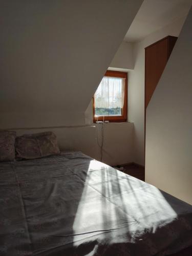 sypialnia z łóżkiem i oknem w obiekcie Povratak prirodi w mieście Divčibare