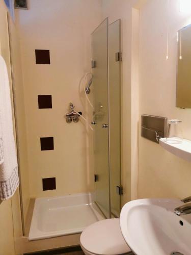 a bathroom with a shower and a toilet and a sink at Haus Hubertus in Bad Peterstal-Griesbach