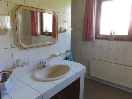 a bathroom with a sink and a mirror at Schöne Ferienwohnung in Kärnten Hunde gerne auf Anfrage in Sankt Veit an der Glan