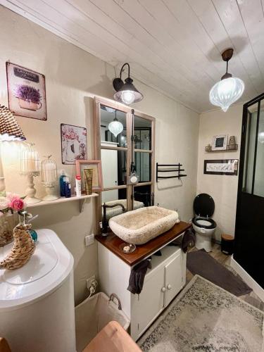une salle de bain avec un lavabo et des toilettes dans l'établissement La grange, à Promilhanes