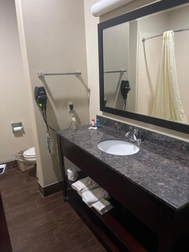 Koupelna v ubytování La Plaza Inn and Suites - Freer TX
