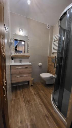 uma casa de banho com um WC, um lavatório e um espelho. em Wierchowianka em Bukowina Tatrzańska