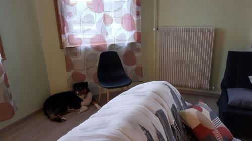 Afbeelding uit fotogalerij van La Maison de Lucette in Fourmies