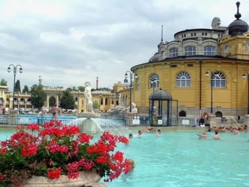 un grupo de personas en una piscina con un edificio en Trendy & Cozy Apartment at Heroes' Square en Budapest