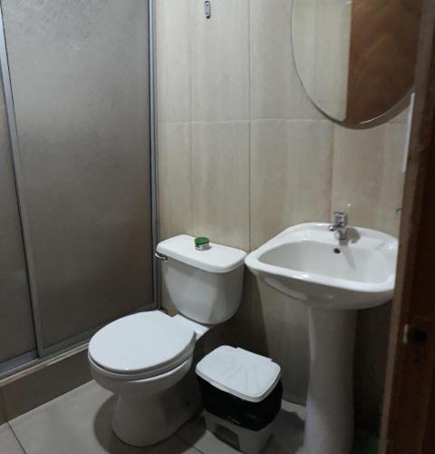 ein Bad mit einem WC und einem Waschbecken in der Unterkunft Cabañas Anny in Linares