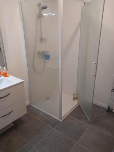 W łazience znajduje się prysznic ze szklanymi drzwiami. w obiekcie Appartement standing Vue panoramique sur Nantes w mieście Nantes