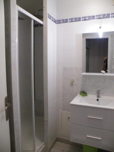 une salle de bain avec un lavabo et une douche dans l'établissement Appartement a la montagne ,vue sur les pistes, à La Bresse