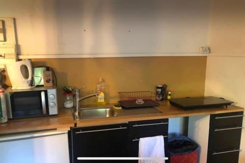 un comptoir de cuisine avec un évier et un micro-ondes dans l'établissement Charming studio at the heart of 14 arrondissement, à Paris