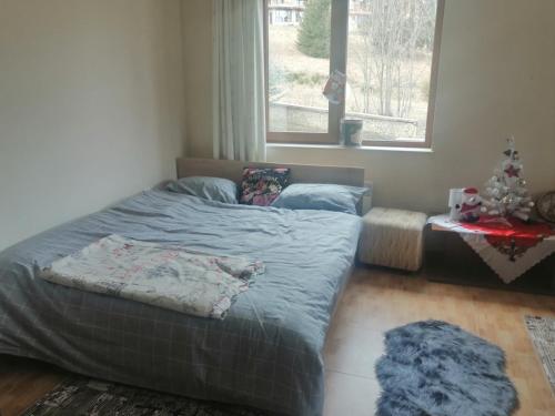 a bedroom with a bed and a window at Apartment Dream Pamporovo in Pamporovo