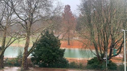 Un árbol de Navidad en un parque junto a un lago en Geroweiher Monteurzimmer Mönchengladbach Stadtmitte, en Mönchengladbach